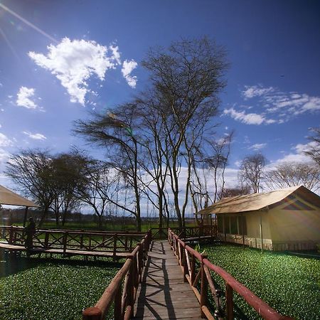 Kiboko Luxury Camp Ξενοδοχείο Naivasha Εξωτερικό φωτογραφία