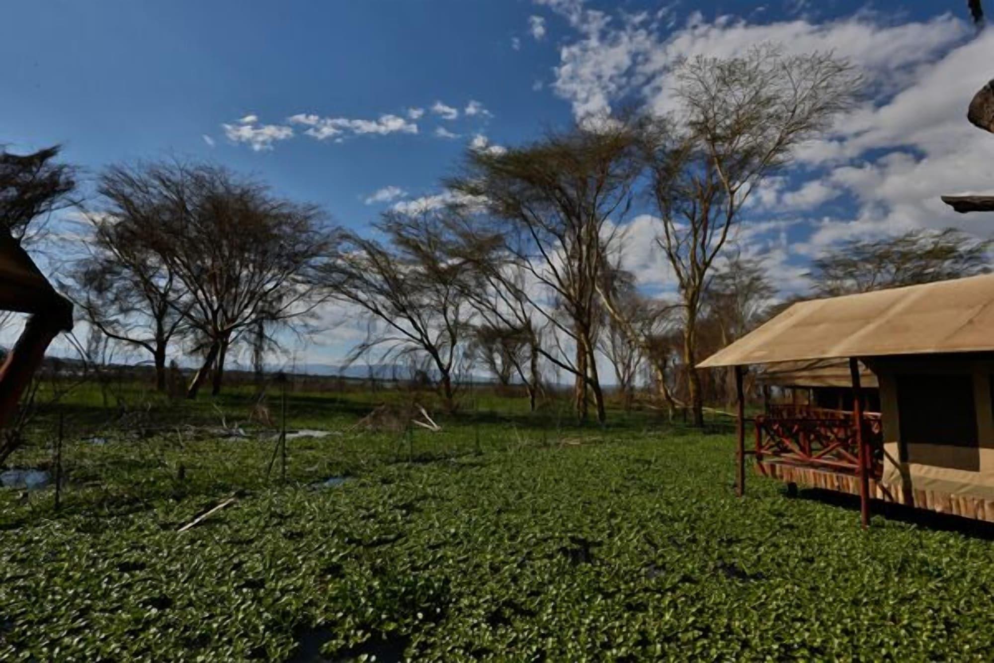 Kiboko Luxury Camp Ξενοδοχείο Naivasha Εξωτερικό φωτογραφία