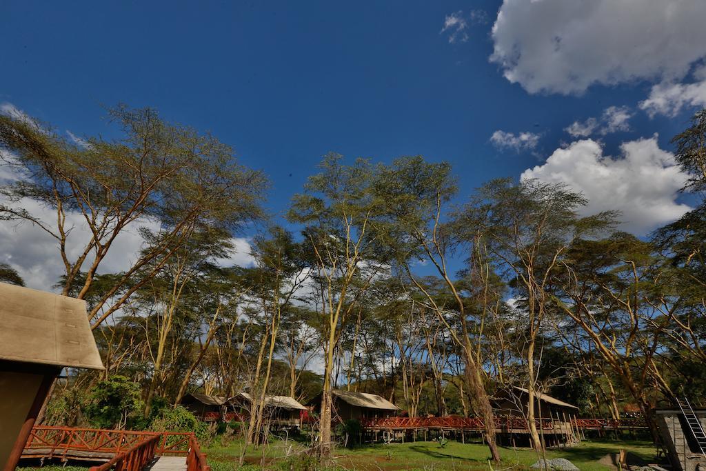 Kiboko Luxury Camp Ξενοδοχείο Naivasha Εξωτερικό φωτογραφία